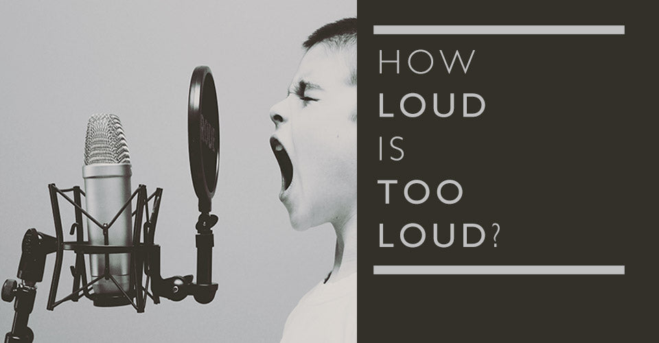 How Loud Is Too Loud?