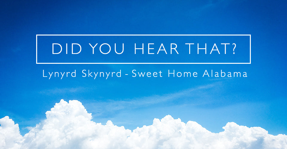 Did You Hear That? - Lynyrd Skynyrd - Sweet Home Alabama